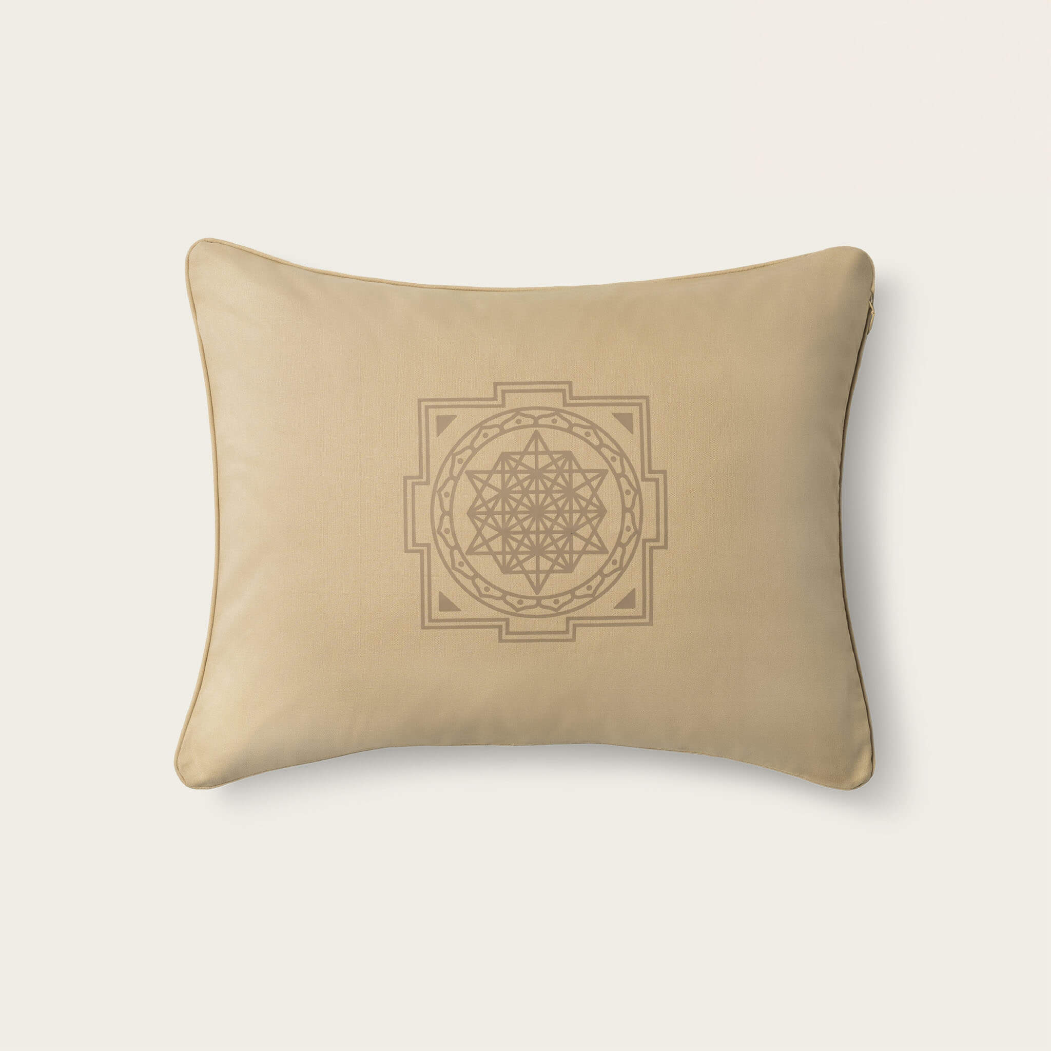 Shakti Premium Acupressure Pillow
